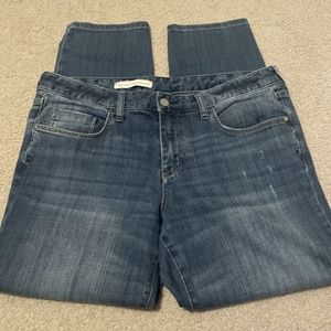 Pilcro & the Letterpress jeans sz 31